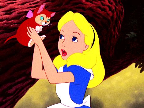 alice wonderland meme|alice in wonderland 1951 gif.